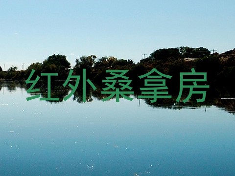 红外桑拿房
