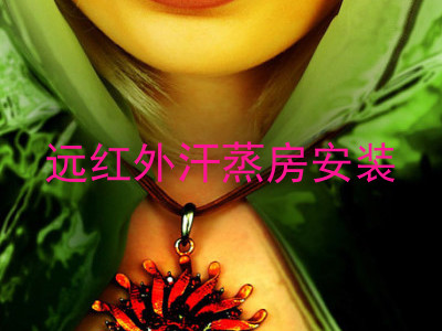 远红外汗蒸房安装