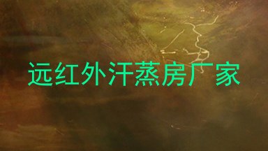 远红外汗蒸房厂家