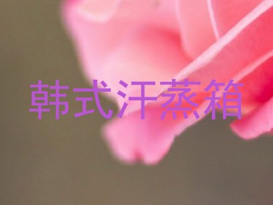 韩式汗蒸箱
