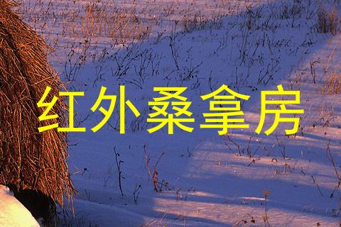 红外桑拿房