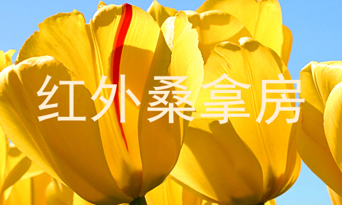 红外桑拿房
