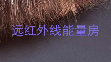 远红外线能量房
