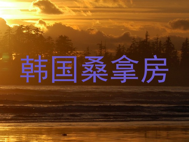 韩国桑拿房