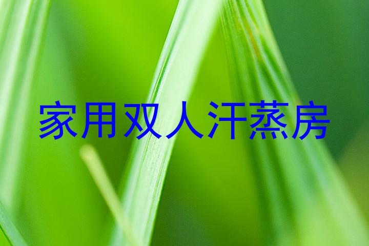 家用双人汗蒸房