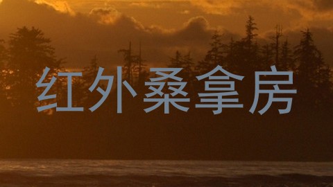 红外桑拿房
