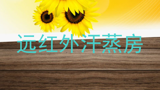 远红外汗蒸房