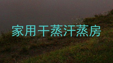 家用干蒸汗蒸房