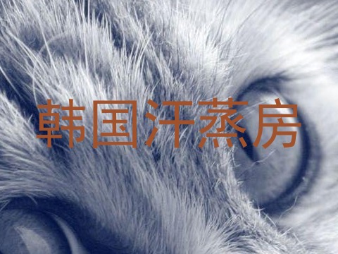 韩国汗蒸房