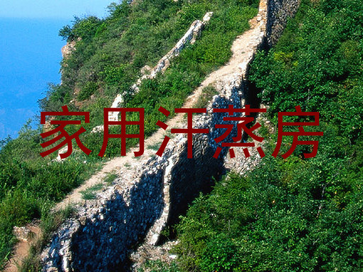 家用汗蒸房
