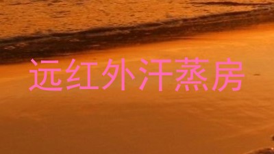 远红外汗蒸房