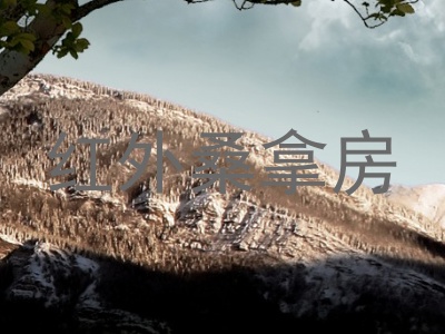 红外桑拿房
