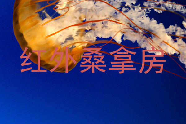 红外桑拿房