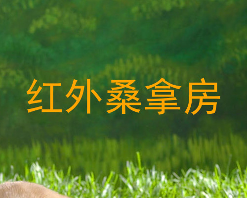 红外桑拿房