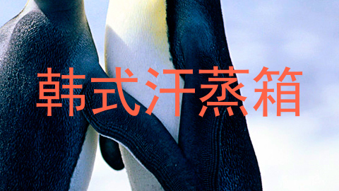 韩式汗蒸箱