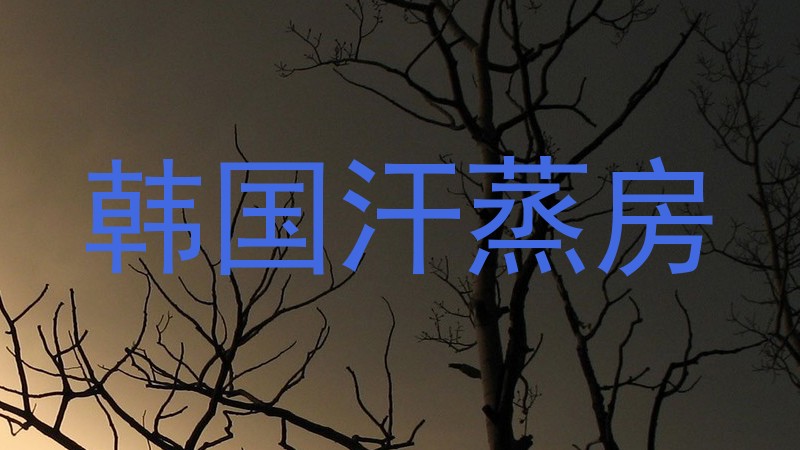 韩国汗蒸房