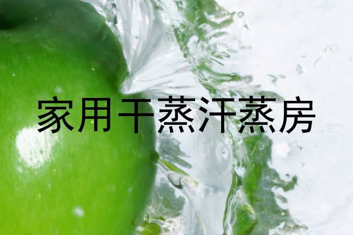 家用干蒸汗蒸房