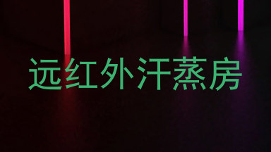 远红外汗蒸房