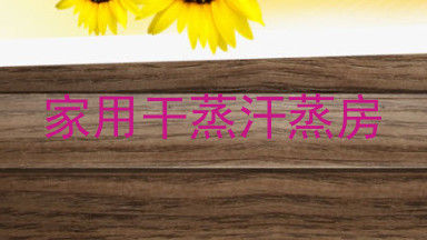 家用干蒸汗蒸房