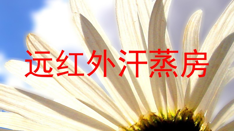 远红外汗蒸房