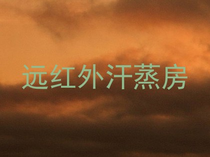 远红外汗蒸房