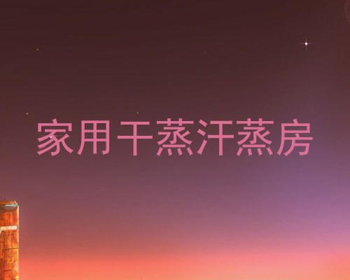 家用干蒸汗蒸房