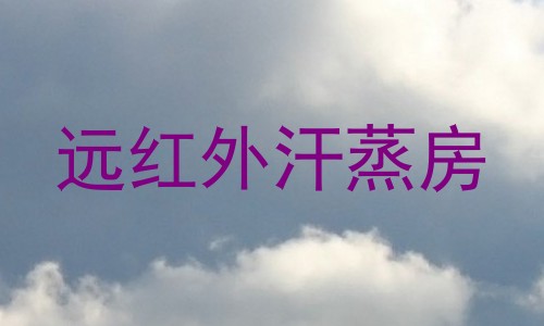 远红外汗蒸房