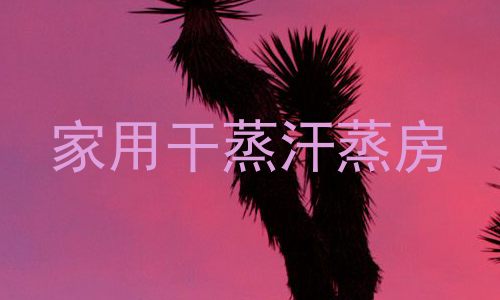 家用干蒸汗蒸房