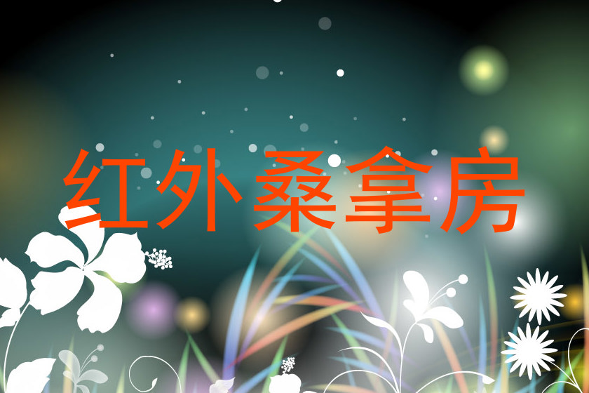红外桑拿房
