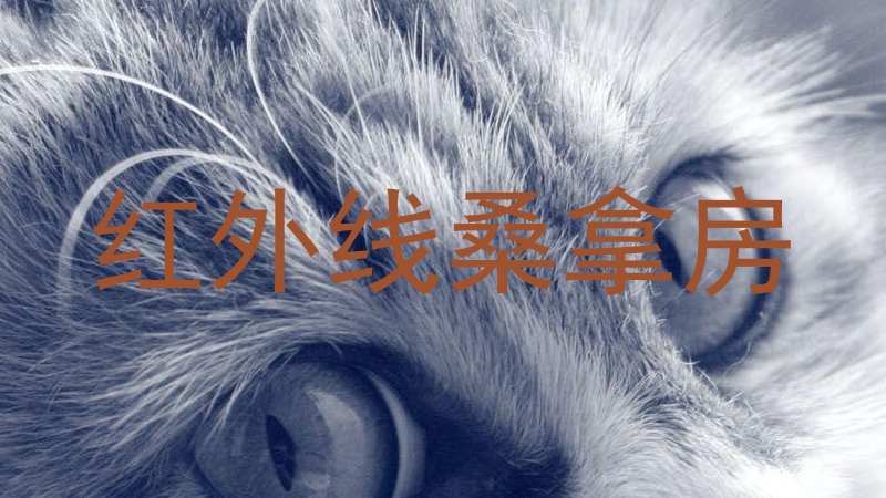 红外线桑拿房