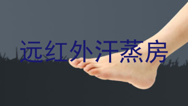远红外汗蒸房