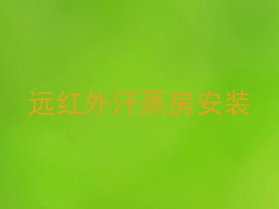 远红外汗蒸房安装