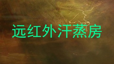 远红外汗蒸房