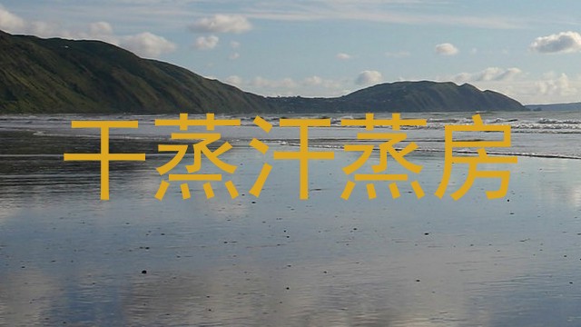 干蒸汗蒸房