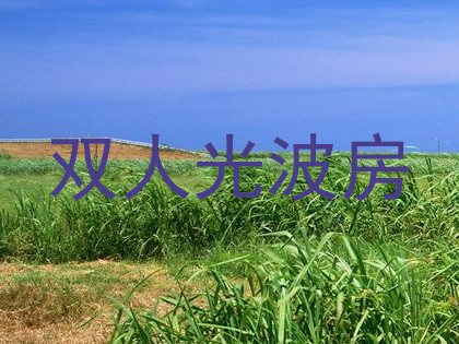 双人光波房