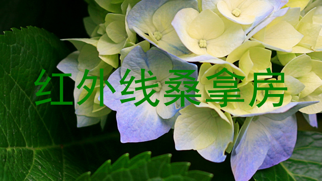 红外线桑拿房