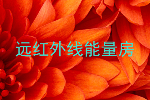 远红外线能量房