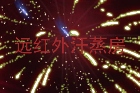 远红外汗蒸房