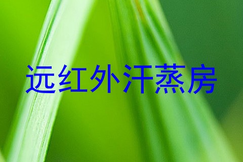 远红外汗蒸房