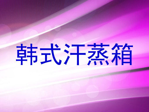 韩式汗蒸箱