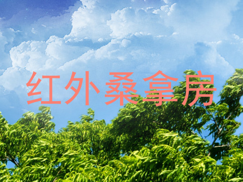 红外桑拿房