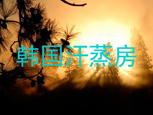韩国汗蒸房