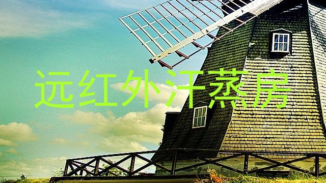 远红外汗蒸房