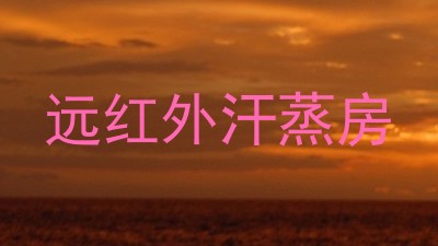 远红外汗蒸房
