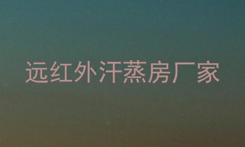 远红外汗蒸房厂家