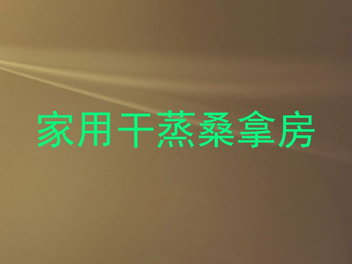 家用干蒸桑拿房