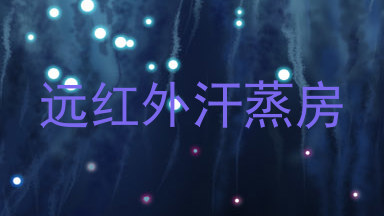 远红外汗蒸房