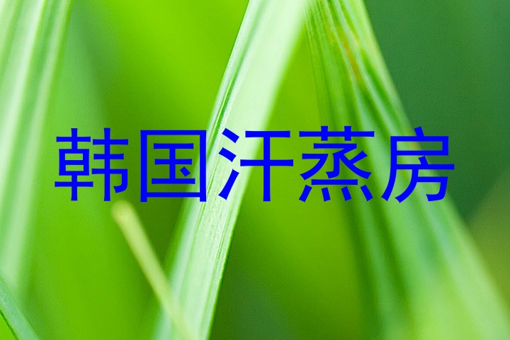 韩国汗蒸房