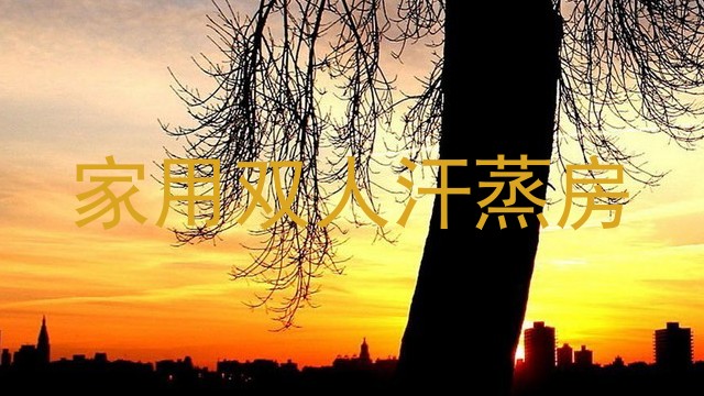 家用双人汗蒸房