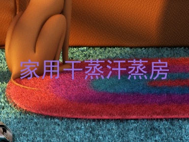 家用干蒸汗蒸房